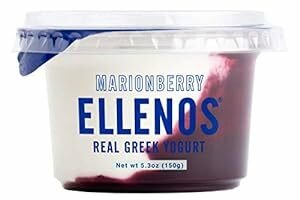 best greek yogurts